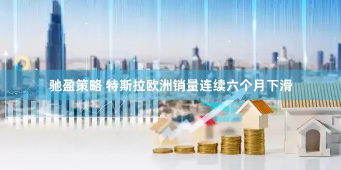 驰盈策略 特斯拉欧洲销量连续六个月下滑
