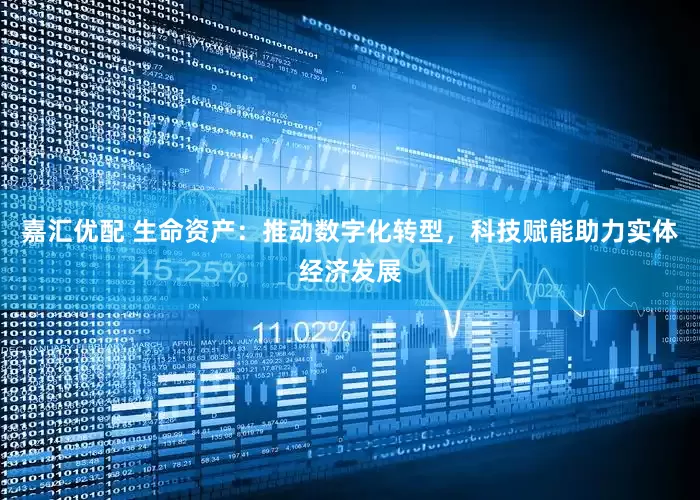 嘉汇优配 生命资产：推动数字化转型，科技赋能助力实体经济发展