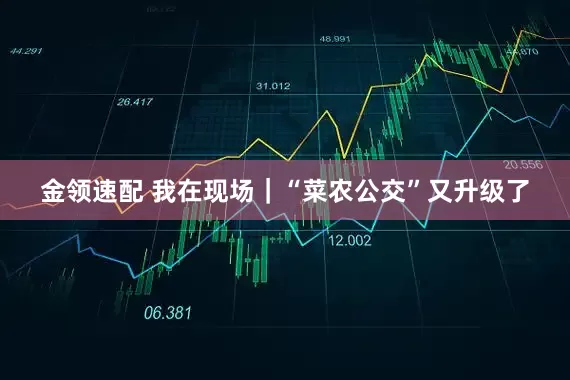 金领速配 我在现场｜“菜农公交”又升级了